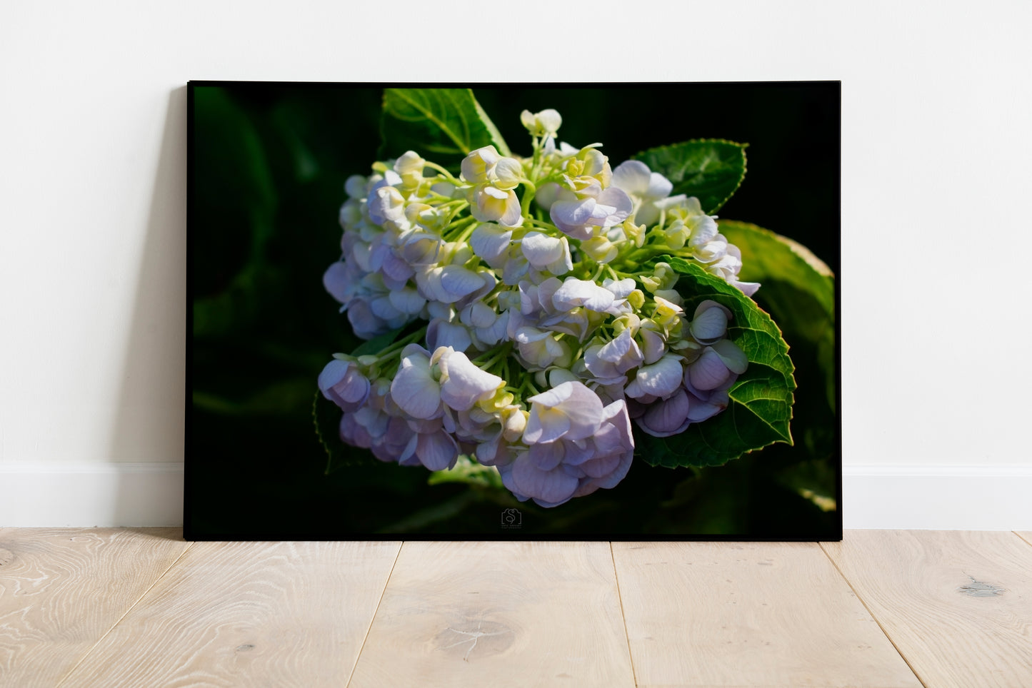weiße Blumen